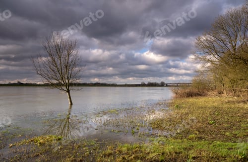 Preview: High water in the Rhine