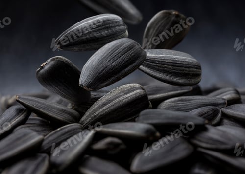 Preview: Black sunflower seeds close-up