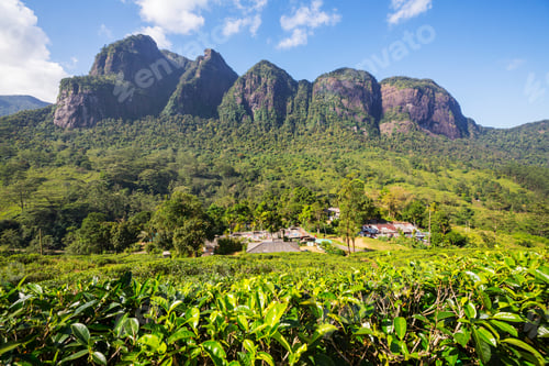 Preview: Mountains on Sri Lanka