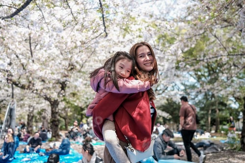 Preview: Asian mom and daughter traveling under blooming Cherry blossoms in Japan.