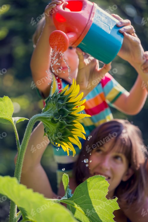 Preview: Child Waters a Sunflower With Mother's Help