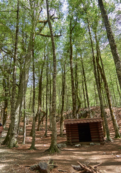 Preview: Small cabin in a wild spanish forest
