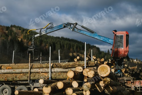 Preview: Crane loading wood into wood truck and the wood grapple hook moving in the air