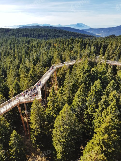 Preview: High angle view of elevated walkway above treetops.