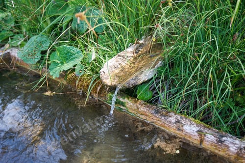 Preview: Mountain stream in a wooden drainage ditch. Clear water and green grass