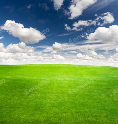 Preview: Landscape with green grass field under a blue sky