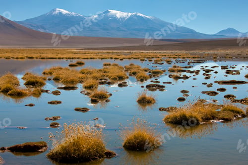 Preview: The Altiplano in the Atacama Desert - Chile