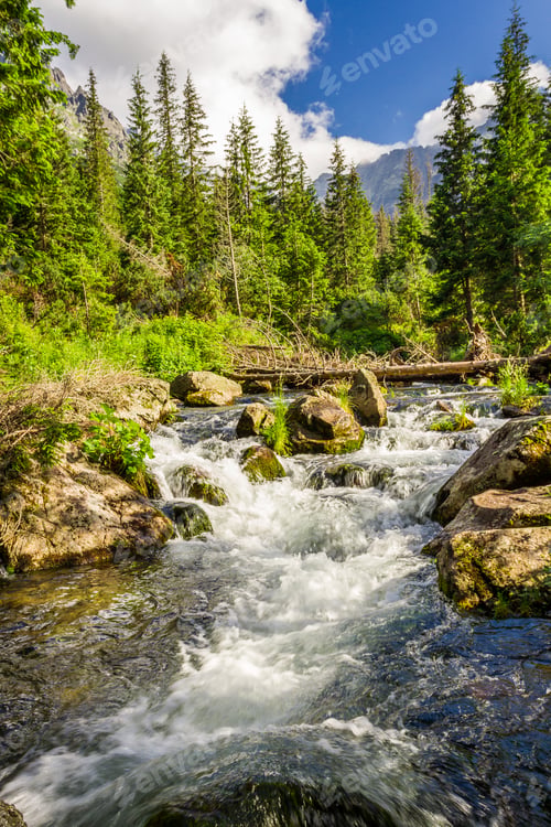 Preview: Crystal clear water from the mountains in summer
