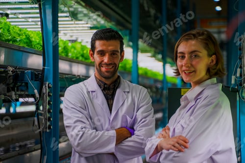Preview: Scientists are working at vegetable production greenhouse.