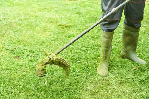 Preview: Man or worker mowing the green grass. Gardener mows weeds with electric or petrol lawn trimmer in ci