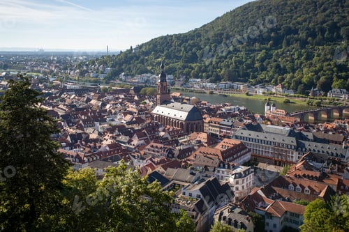 Preview: View of Heidelberg and a green hillside covered with lush trees. Germany