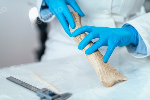 Preview: Archaeology Researchers Analyzing Ancient Antler Tool in Laboratory