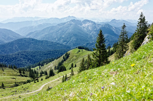 Preview: Scenic alpine meadow with distant mountains.