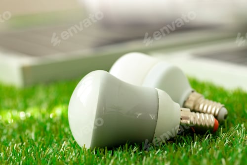 Preview: Energy efficient light bulb lying on grass
