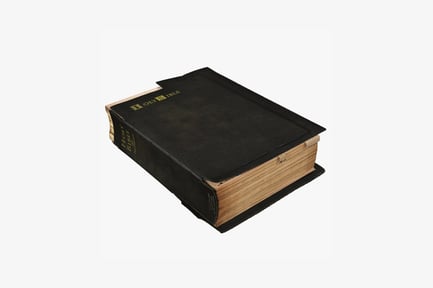 Preview: Worn leather-bound book with gold lettering and logo