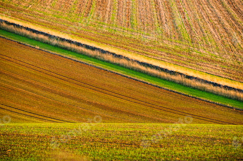 Preview: Ploughed fields, Broadway, The Cotswolds, Gloucestershire, England, United Kingdom, Europe