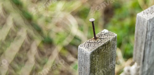Preview: Close-up of an old wooden fence with a nail sticking out, outdoors on a summer day