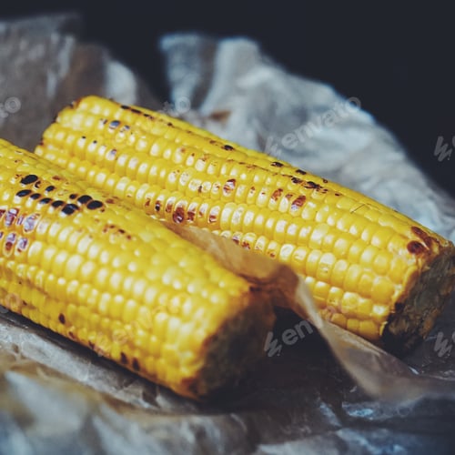 Grilled Corn on the Cob Close Up