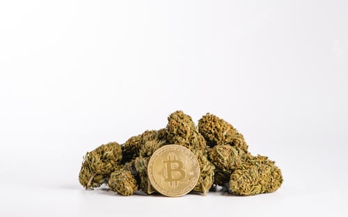 Preview: Cryptocurrency Bitcoin with Green Floral Matter on White