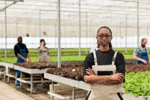 Preview: Portrait of confident african american greenhouse worker posing standing next to rows of vegetables