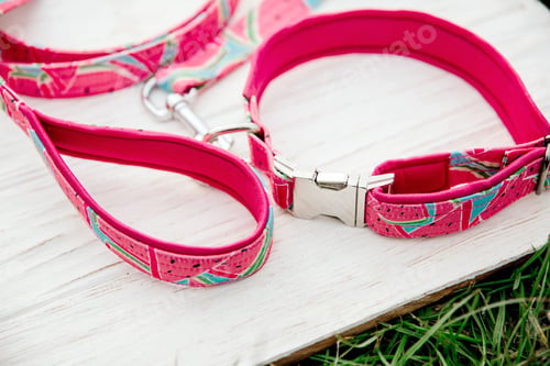 Preview: Dog Collar and Leash set. Pet Supplies and Walking Gear Collection
