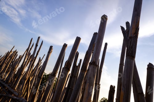 Preview: Fencing created using the dry reeds and environmental resources available.
