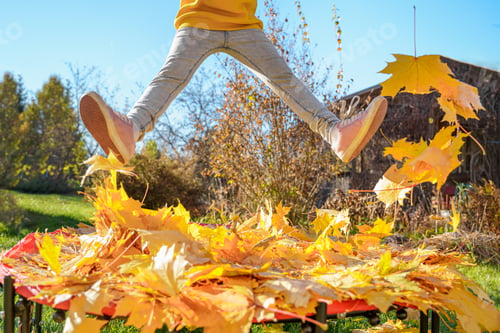 Preview: Girl kid jumping on trampoline with autumn leaves. Bright yellow orange maple foliage. Child
