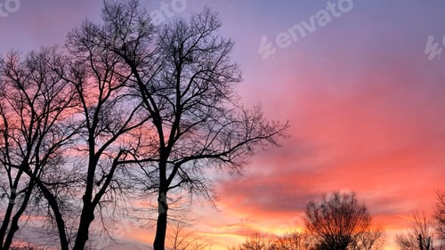 Preview: Relaxing sky view, beautiful pink sunset