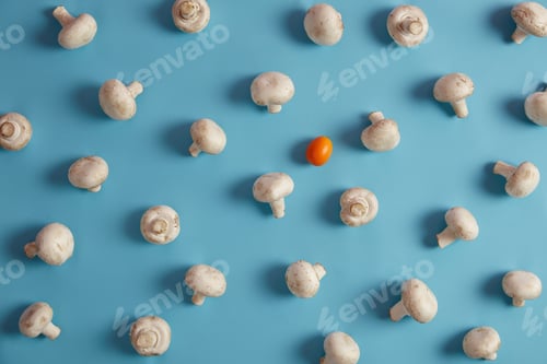 Preview: Food concept. Edible white champignons and one citrus orange cumquat on blue background. Variety of