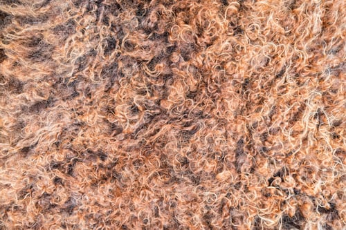 Preview: Close up of natural brown fur texture background