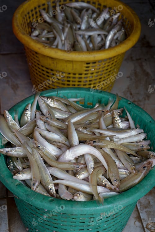 Preview: Closeup group of fresh fish in the plastic basket for selling at the market