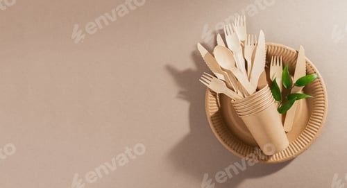 Preview: Disposable paper tableware
