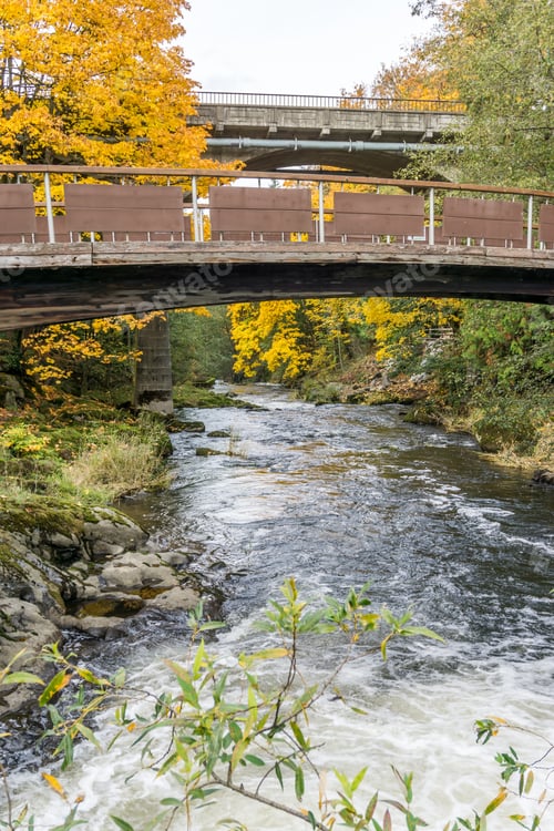 Preview: Autumn Trees Hang Over Two Bridges In Tumwater, Washington.
