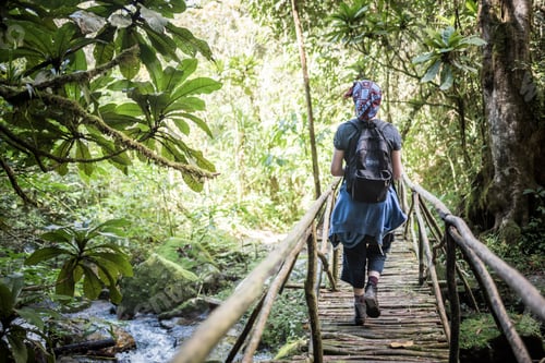 Preview: Tourist in Ranomafana National Park, Madagascar Central Highlands