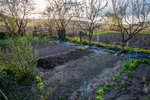 Preview: organic vegetable garden in early spring