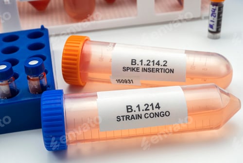Preview: Laboratory analysis of a new Sars-Cov-2 mutation in Belgium from Congo