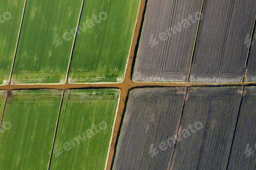 Preview: Aerial shot of the giometric shapes of the fields