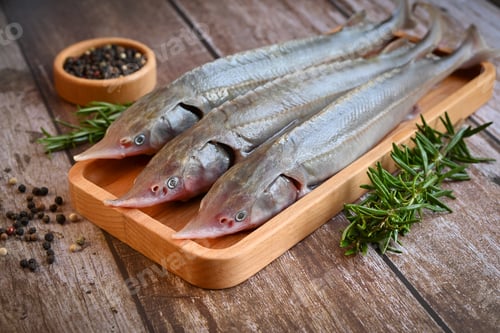 Preview: Raw sterlet fish on a wooden plate with rosemary and pepper