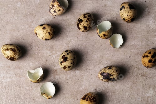 Preview: Quail eggs
