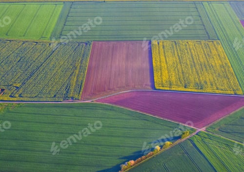 Preview: View from above