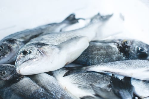Preview: Shimmering fish at fish market