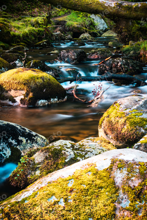 Preview: Vertical shot of a beautiful river with many rocks in Dublin, Republic of Ireland