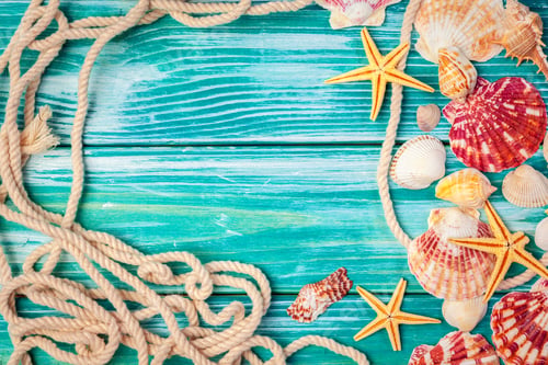 Preview: Different sea shells on color wooden background