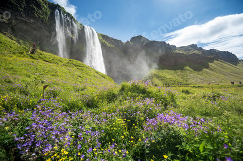Preview: Seljalandsfoss waterfall in Iceland in Summer