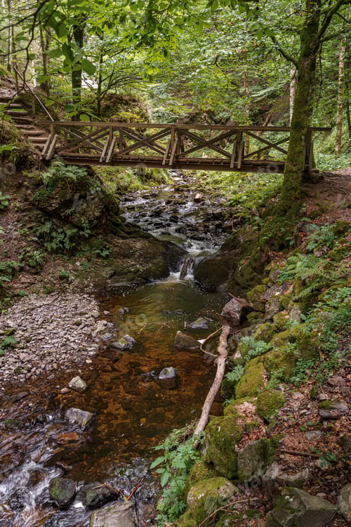 Preview: Vertical shot of a wooden bridge over a small river streaming through the mossy rocks