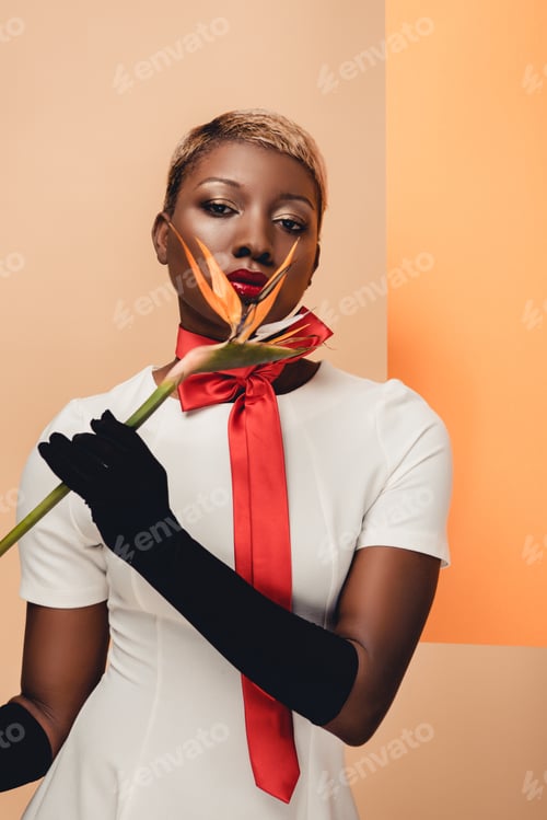 Preview: attractive african american woman in black gloves posing with Strelitzia flower on beige and orange