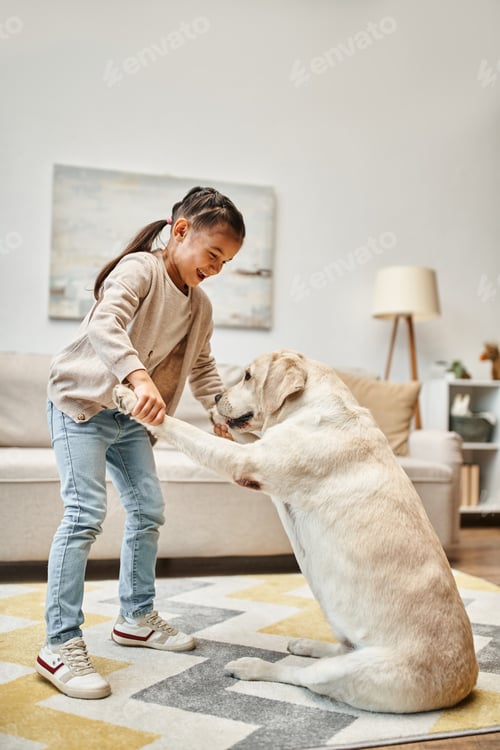 Preview: happy girl in casual wear training labrador in modern living room, dig giving paws to child