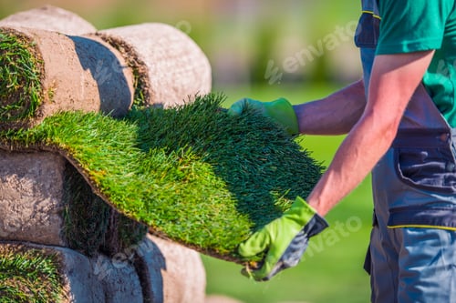 Preview: Natural Grass Turf Check
