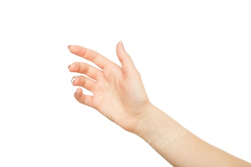 Preview: Woman's hand holding card, phone or other, crop, cutout