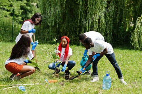 Preview: Africa volunteering, charity, people and ecology